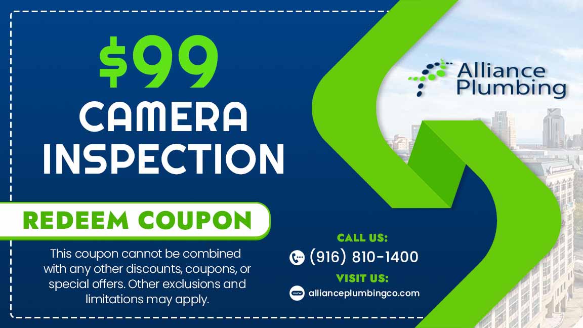 99 dollar camera inspection